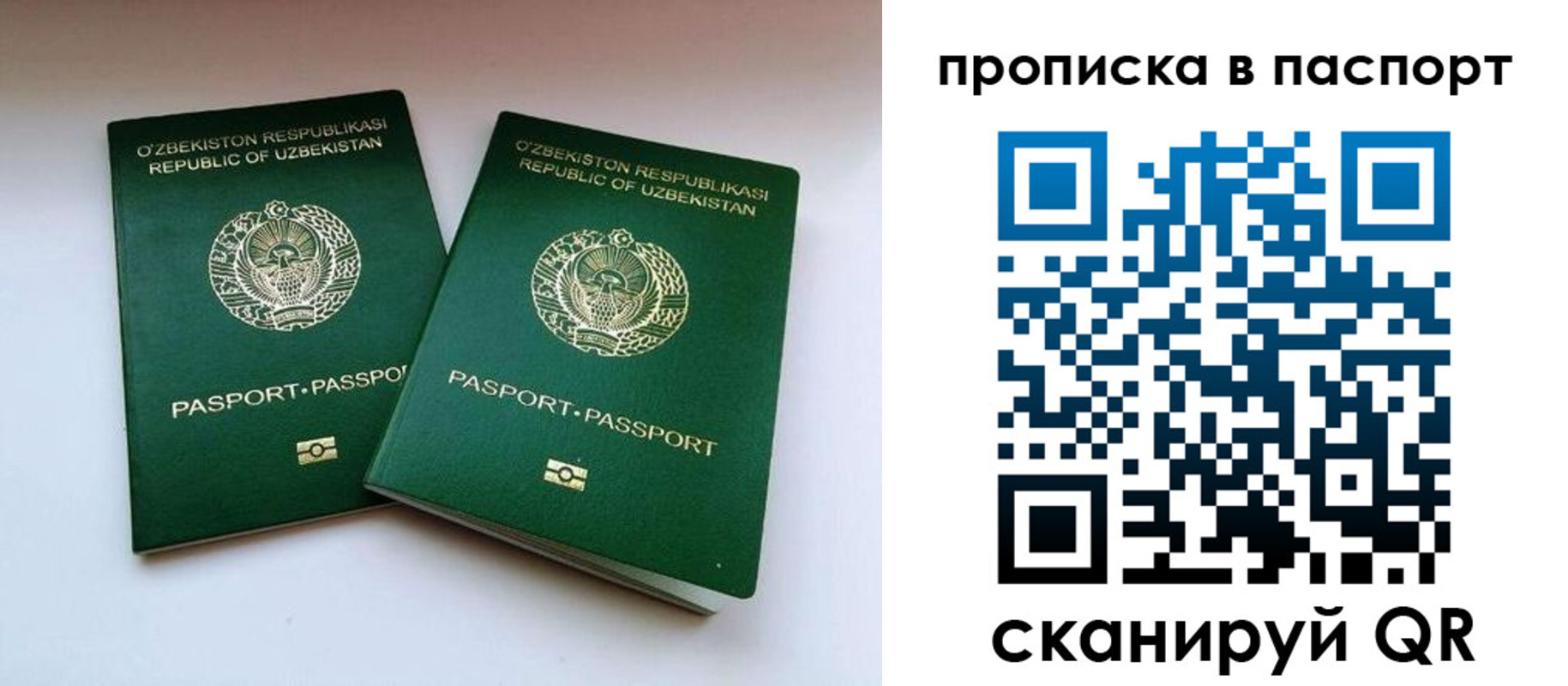 временная регистрация в Курской области