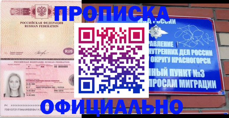 временная регистрация собственник в Курской области